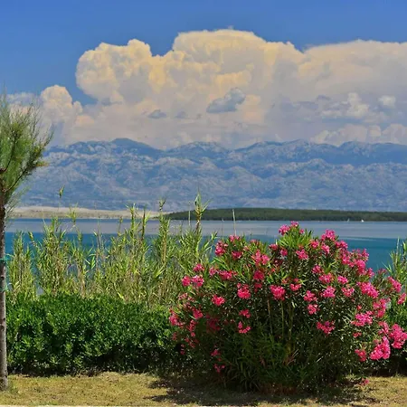Villa With Heated Pool, Waterfall, Sandy - By Traveler Tourist Agency Krk - Id 2170