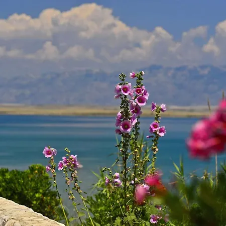 Villa With Heated Pool, Waterfall, Sandy - By Traveler Tourist Agency Krk - Id 2170