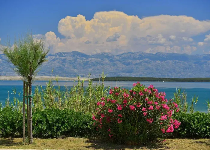 Villa With Heated Pool, Waterfall, Sandy - By Traveler Tourist Agency Krk - Id 2170