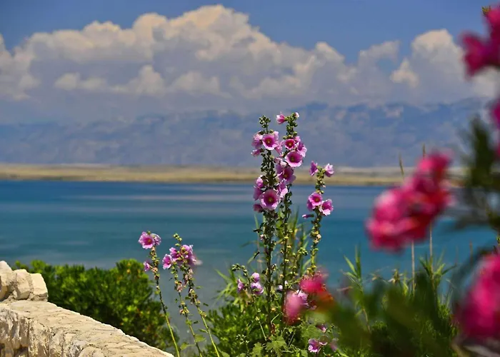 Villa With Heated Pool, Waterfall, Sandy - By Traveler Tourist Agency Krk - Id 2170